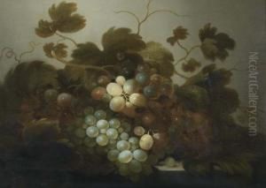 Fruit Still Life With Grapes.