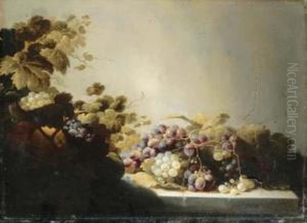 Grapes On A Stone Ledge With Citrus Fruits In A Basket - view 1