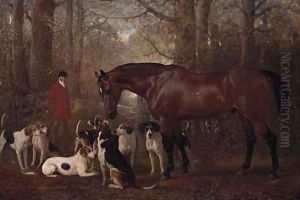 Elford, the Favourite Hunter of Hugo F. Meynell Ingram Esq