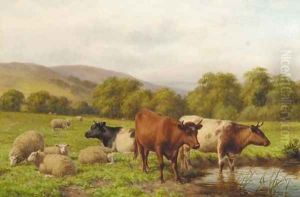 Cattle and sheep resting in a water meadow by Dixon Clark