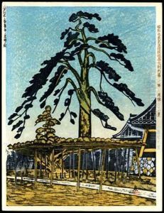 Falling Star Pine Tree At Zenyojitemple
