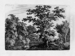 Landschaft Mit Eiche Im Wasser