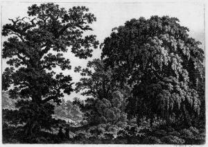 Landschaft Mit Einer Eiche Und Trauerweide