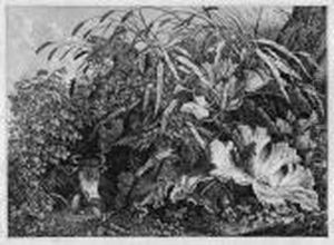 Die Kuh Im Schilfe by Carl Wilhelm Kolbe