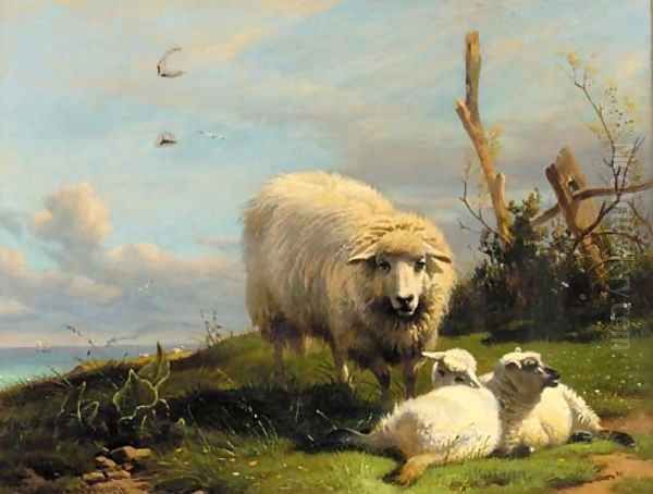 A ewe with lambs in a coastal landscape - view 1