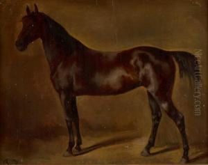 Portrat Eines Rappen, Wohl Pferd Von Baron Guiguer De Prangins