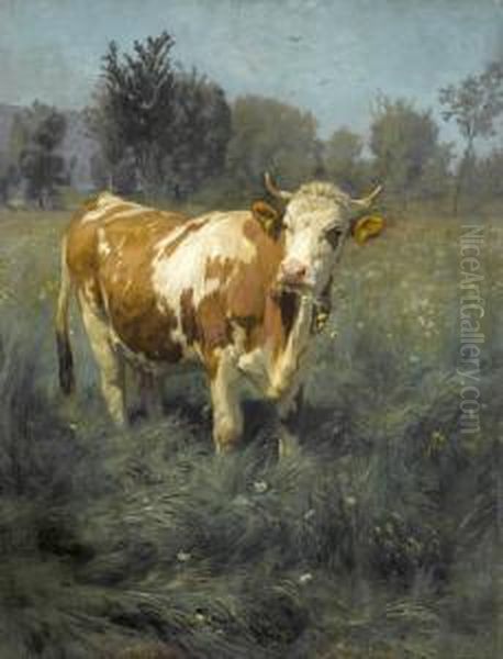 Kuh Auf Der Wiese - view 1