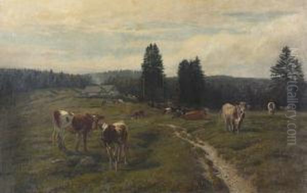 Weidende Rinder Auf Der Alp La Capitaine. - view 1