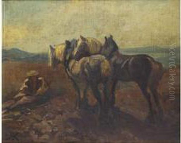 Les Chevaux - view 1