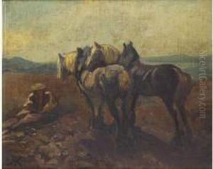 Les Chevaux by Rudolf Koller