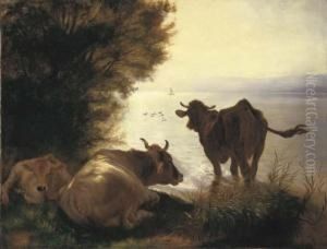 Kuhe Morgens Am Zurichhorn by Rudolf Koller