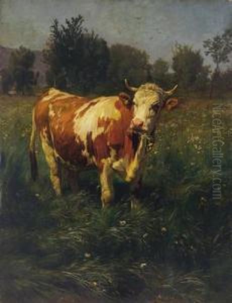 Kuh Auf Der Wiese. - view 1