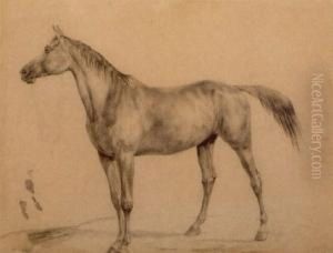 Stehendes Pferd by Rudolf Koller