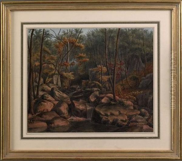 Landscape - view 1