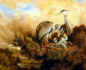 Heron Feeding Their Young In A Pine Tree, 1889 by Samuel John Carter