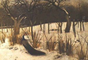 Winter. Peacock in a Garden