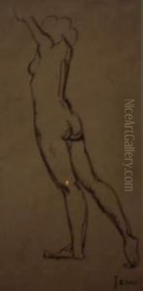 Modele De Dos - view 1