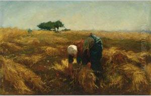 In The Hayfield