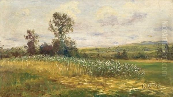 Hochsommerliche Landschaft Mit Bluhenden Feldern. - view 1