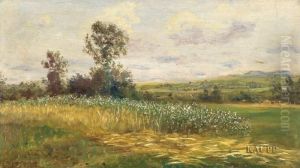 Hochsommerliche Landschaft Mit Bluhenden Feldern. by Julius Kornbeck