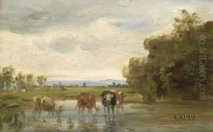 In Weiter Landschaft In Einem Flachen Gewasser Stehende Und Trinkende Kuhherde.