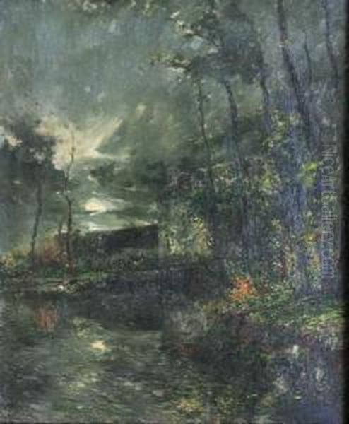 Sous Bois Au Crepuscule - view 1