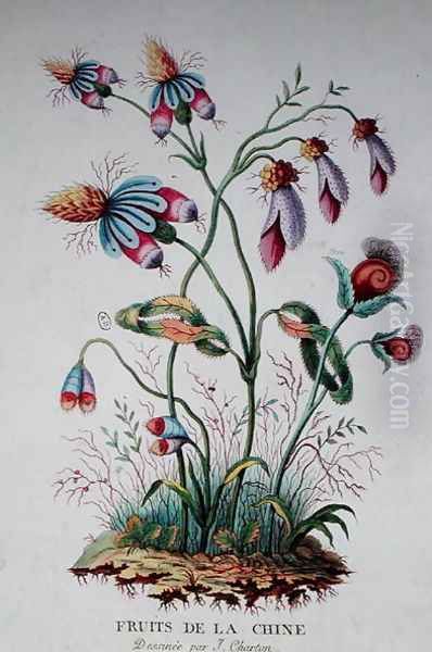 Fruits of China, 1794 - view 1