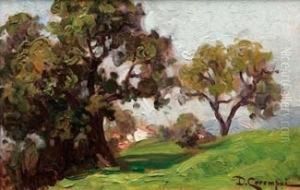 Paesaggio Collinare