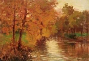 Albero Giallo (autunno Sul Fiume)