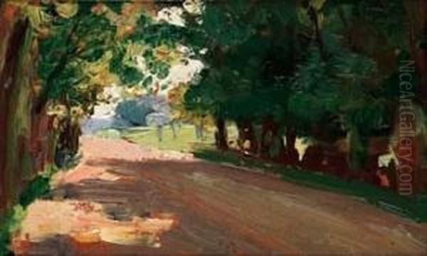 Viale Alberato - view 1