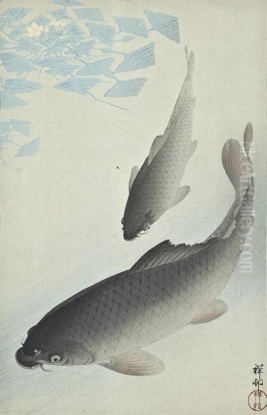Two Carp - view 1
