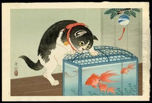 Cat And Goldfish Tank - view 1