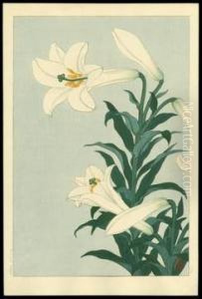 White Lily - view 1