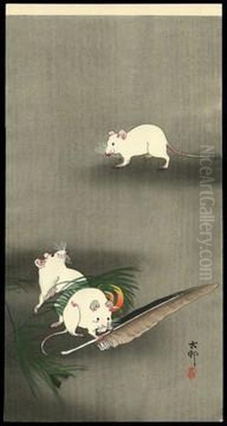 Three Mice, One Of Them Nibbling A Feather - view 1