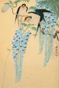 Two Barn Swallows On A Flowering Wisteria