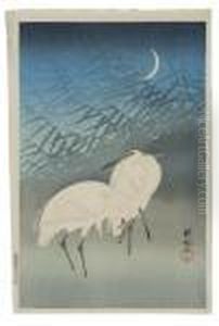 Two Wading Birds And Grasses