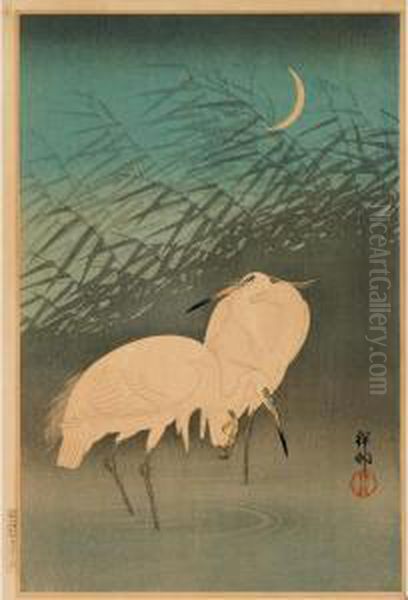 Two Standing Herons In The Moonlight - view 1