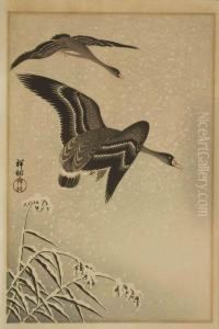 Zwei Fliegende Grauganse In Winterlandschaft