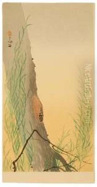 Depicting A Cicada On A Willow Tree. - view 1