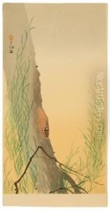 Depicting A Cicada On A Willow Tree.