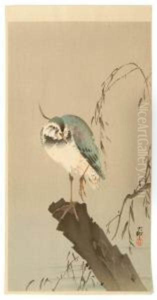 Depicting A Lapwing Perched On A Tree Stump. - view 1