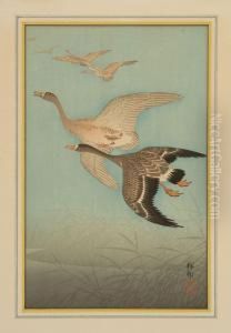 Wild Geese In Flight". Circa 1926." by Ohara Koson
