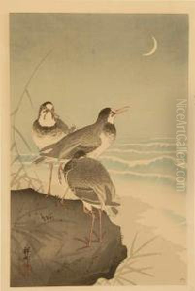 Plovers By The Seaside - view 1