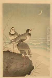 Plovers By The Seaside by Ohara Koson