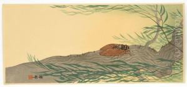 Cicada On A Willow Tree. - view 1