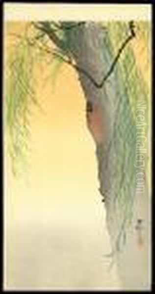 Beetle On The Trunk Of A Willow Tree - view 1
