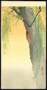 Beetle On The Trunk Of A Willow Tree