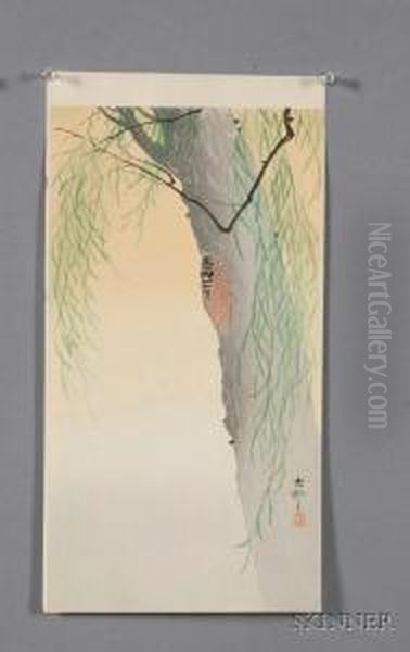 Cicada On Willow - view 1