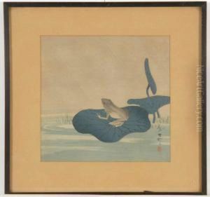 Depicting Frog Resting On A Lotus Leaf