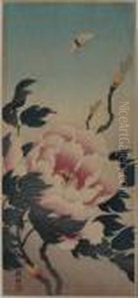 Peony - view 1